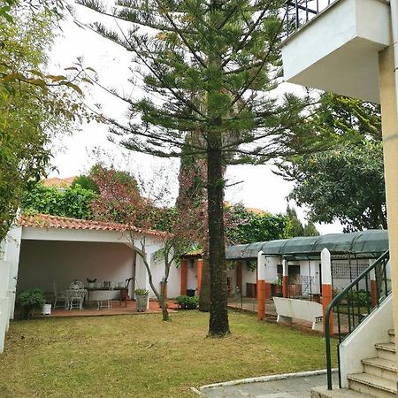 Botanique Guesthouse Cascaes Exterior foto