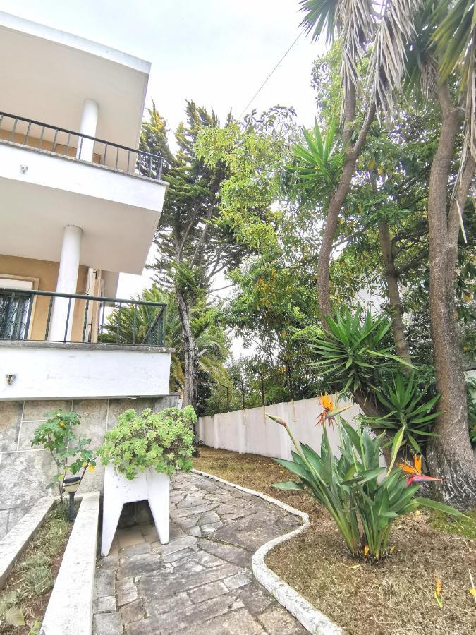 Botanique Guesthouse Cascaes Exterior foto